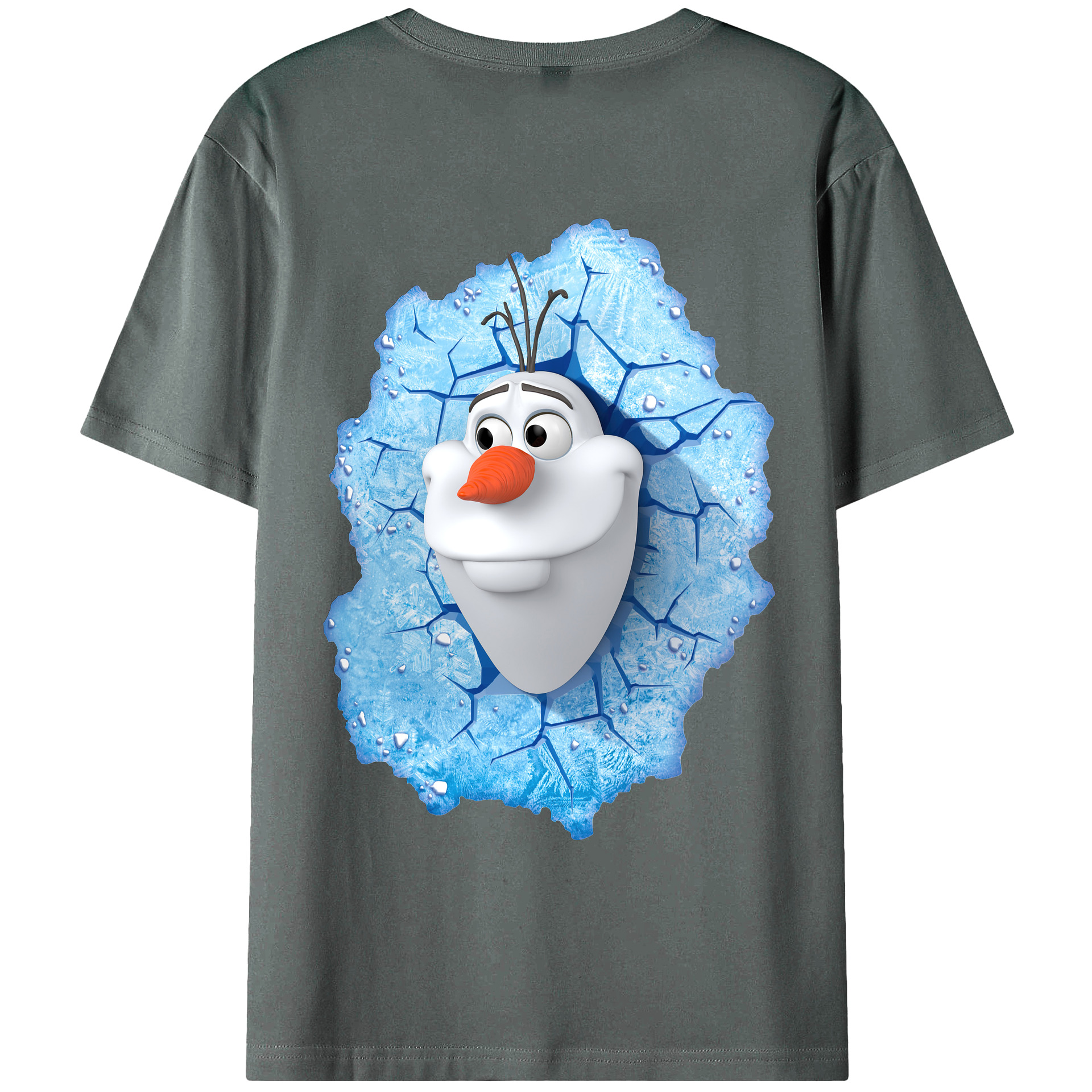 （画像用） アナと雪の女王 アンナ エルサ Frozen Anna Elsa 綿100％ メンズ半袖Tシャツ（バックプリント） 通気性